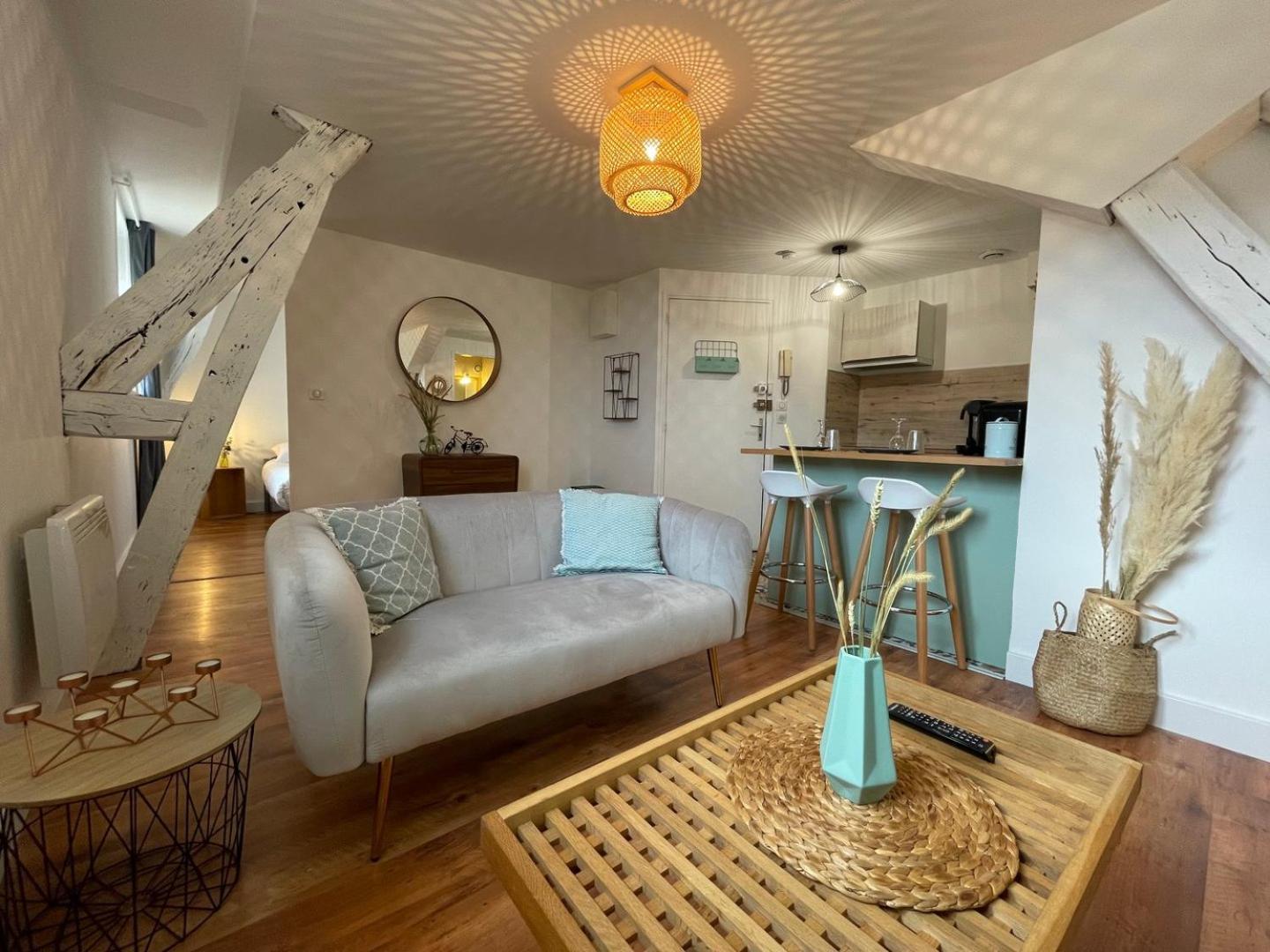 Apartament Le Cocon - Parking - Hyper Center Chartres Zewnętrze zdjęcie